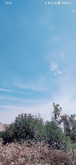 婷💕求过月底任务的图片