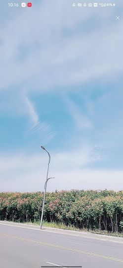 婷💕求过月底任务的图片