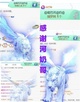 金麒麟安静唱歌🎤主播照片