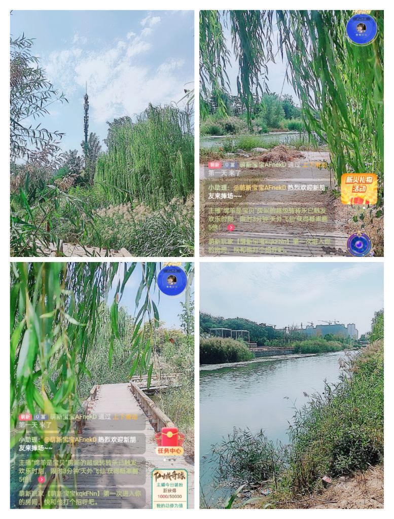 婷婷💕感恩有你陪伴的图片