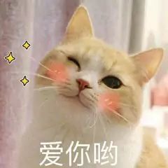 温暖宝宝💰想吃饱饱主播照片