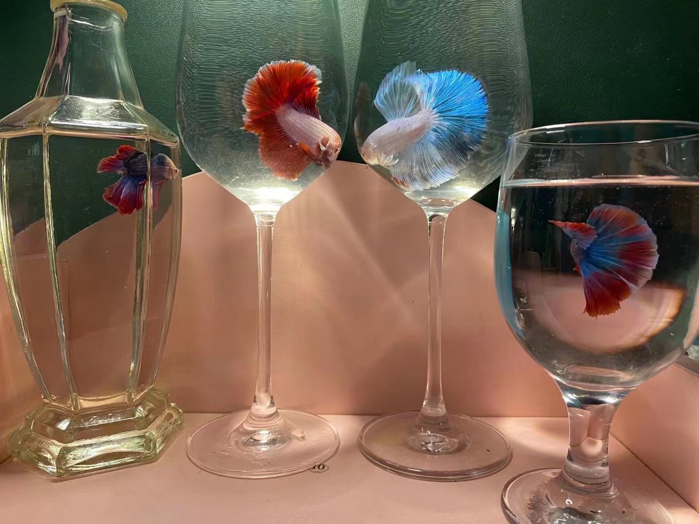 雨閣汽貿(mào)?李先生.的主播照片