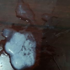 萌新宝宝GA2Be7主播照片