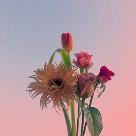 懒货🎐smile主播照片