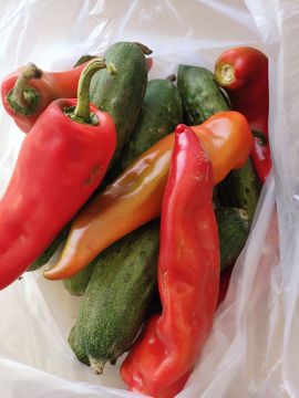 苗族曼尼多的图片