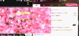 ❤️9527的图片