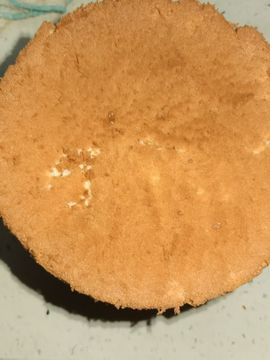 聆听~爱唱歌的图片