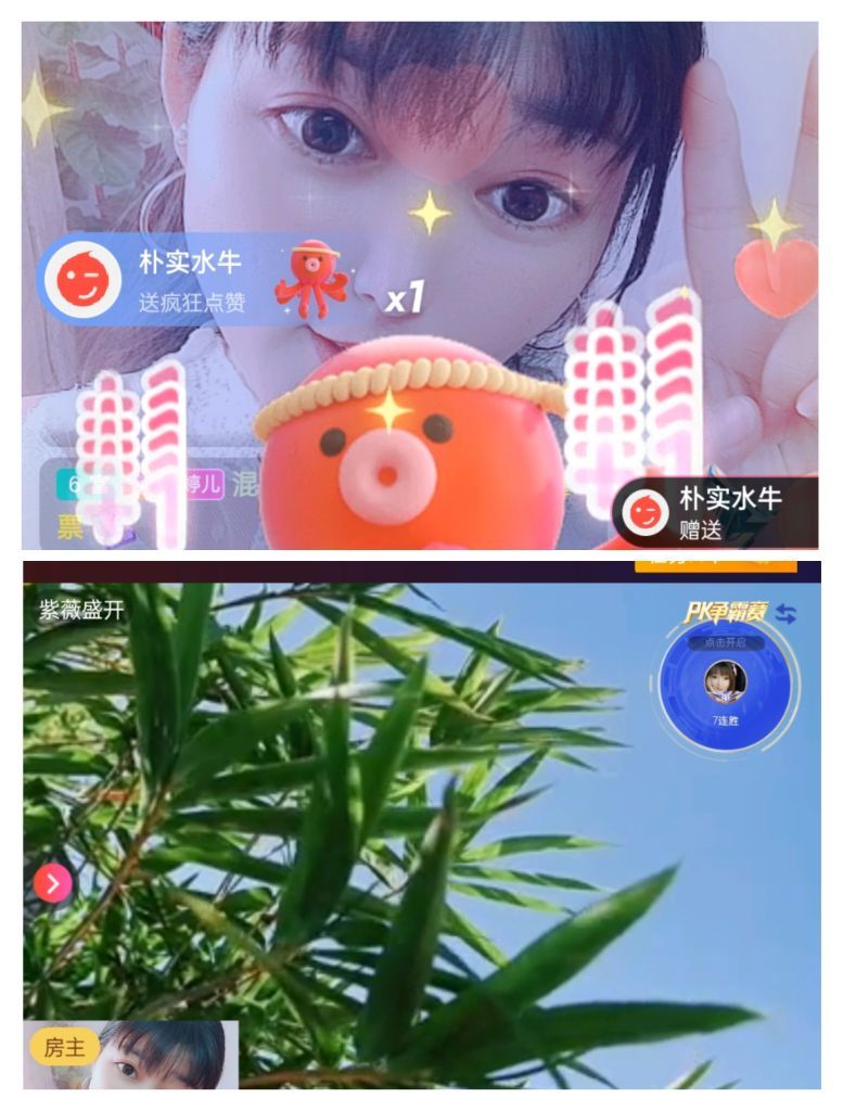 婷婷💕感恩有你陪伴的图片