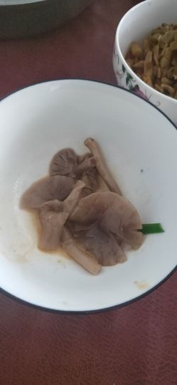 唔～飞机主播照片