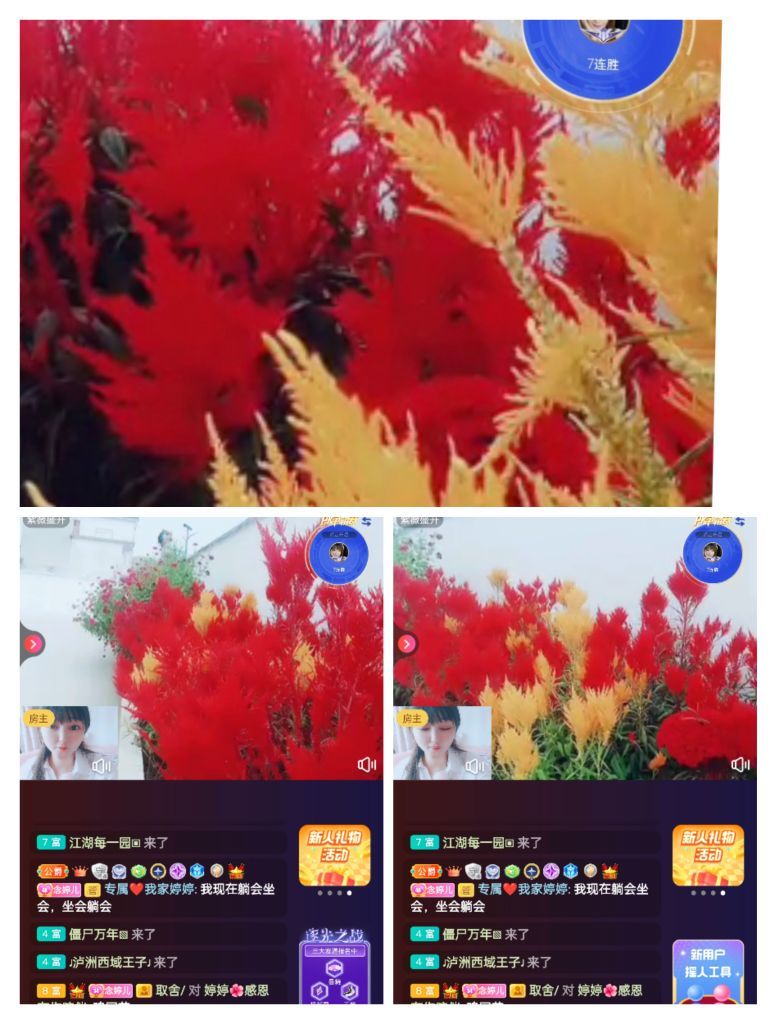 婷婷💕感恩有你陪伴的图片