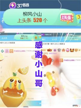 金麒麟安静唱歌🎤主播照片