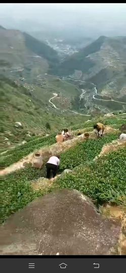 若🌺惜主播照片