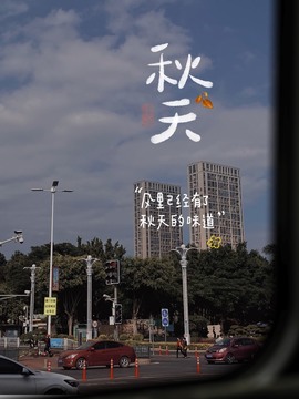 萌新仙人球~主播照片