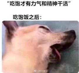 嗨！柠檬《好运呀》主播照片