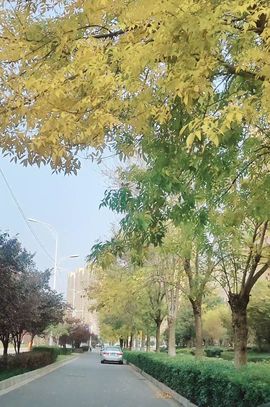婷求三个火山升级的图片