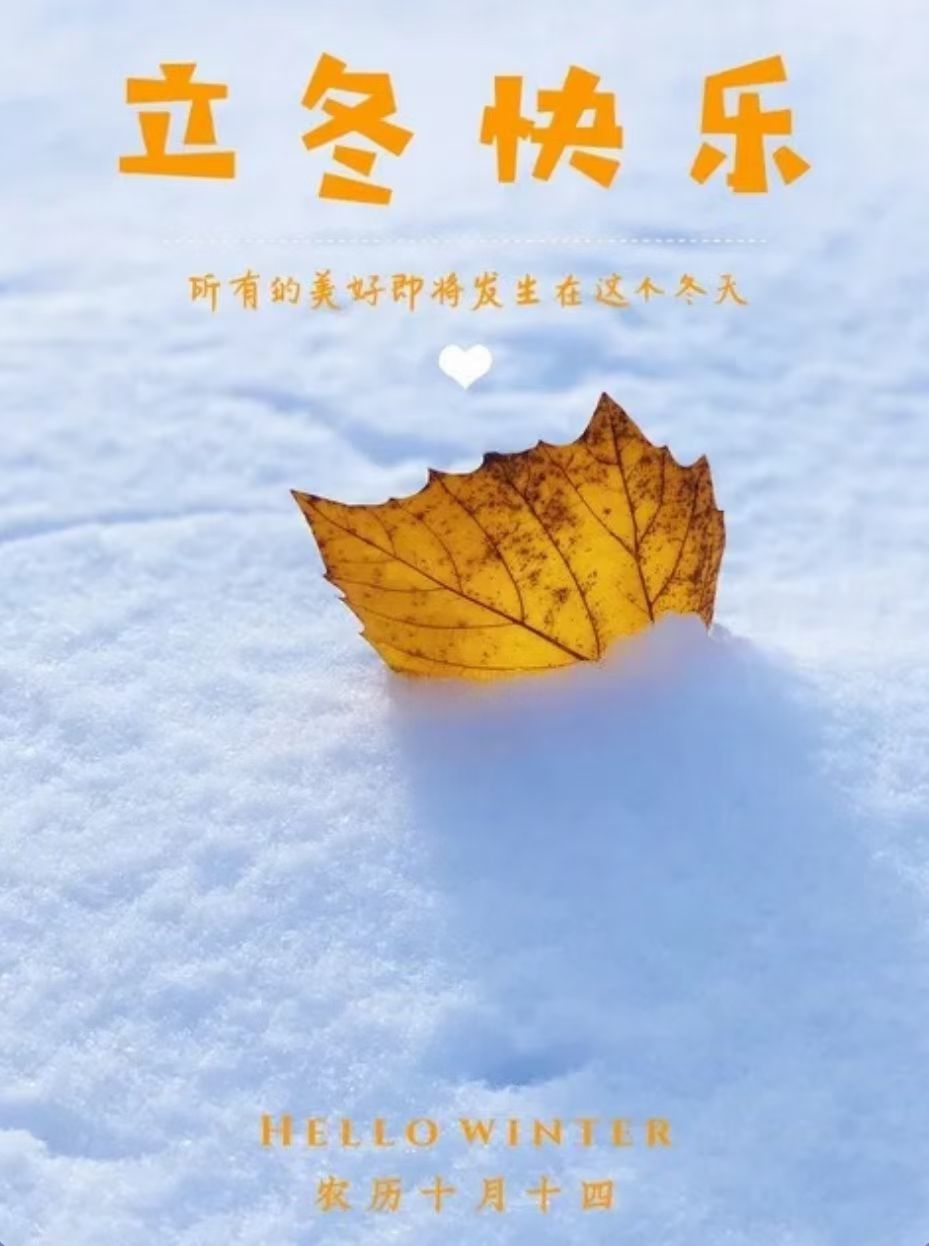 安琪同学的图片