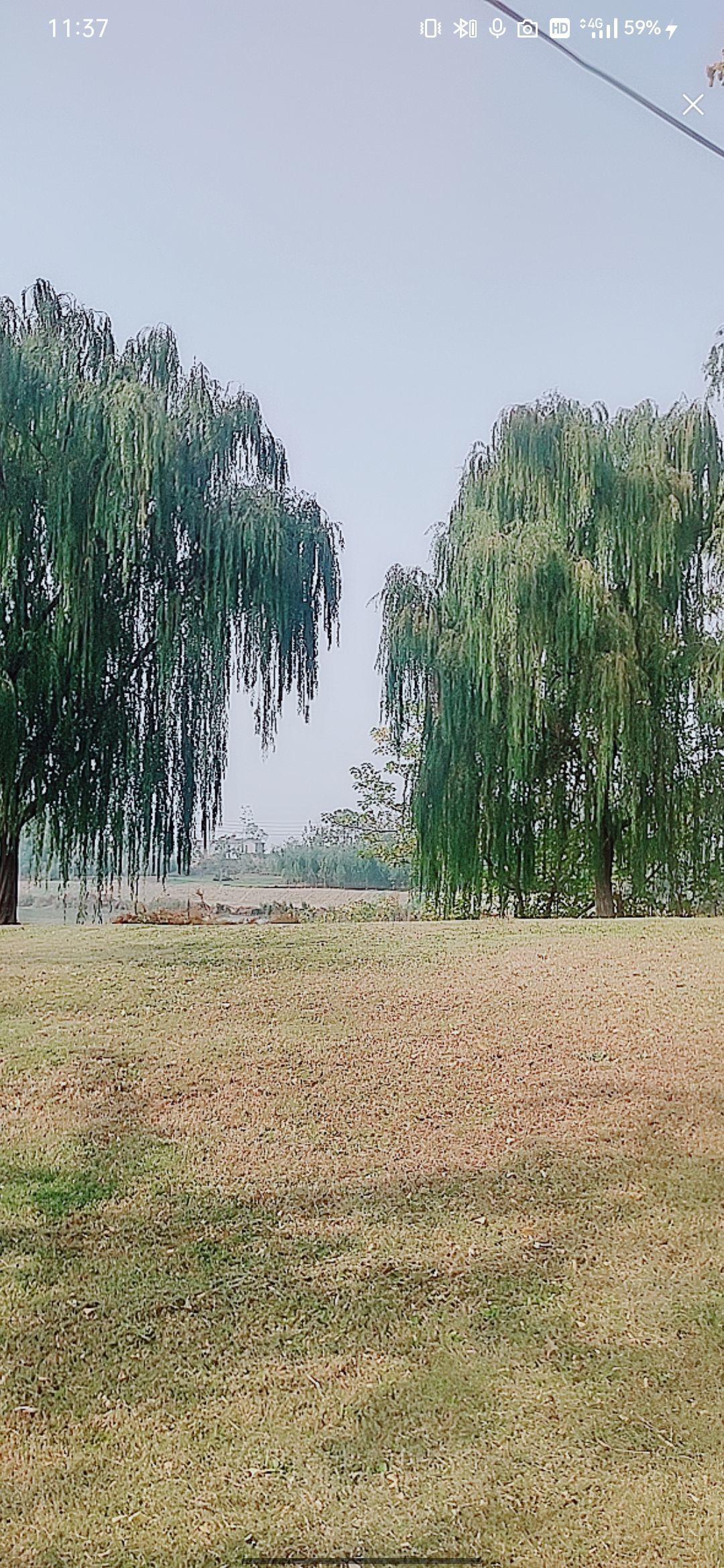 婷婷祝大家五一快乐的图片