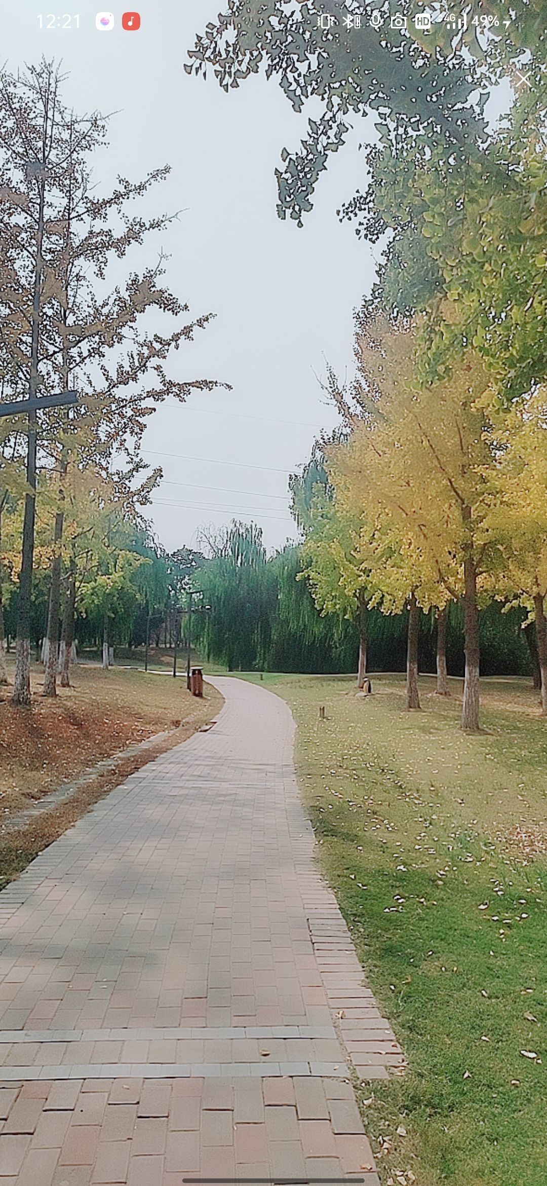 婷婷祝大家五一快乐的图片