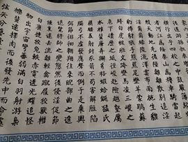 👋掏~主播照片