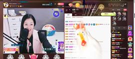 🎶琴儿🎶涅槃重生主播照片