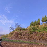 轩哲麻麻海报