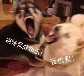 花无缺的故事结束啦主播照片