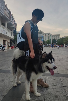 湖南猛将蒋师傅主播照片