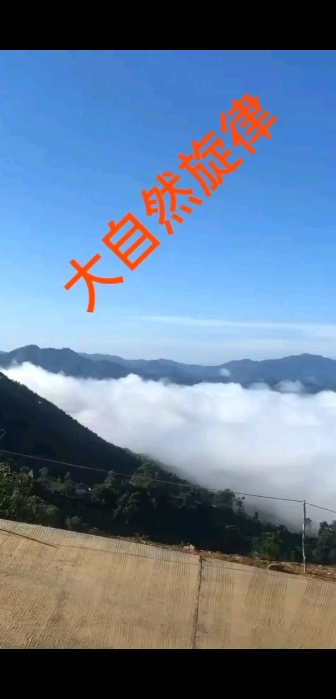 云海仙踪