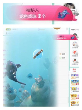 苏苏16号周年庆典的图片