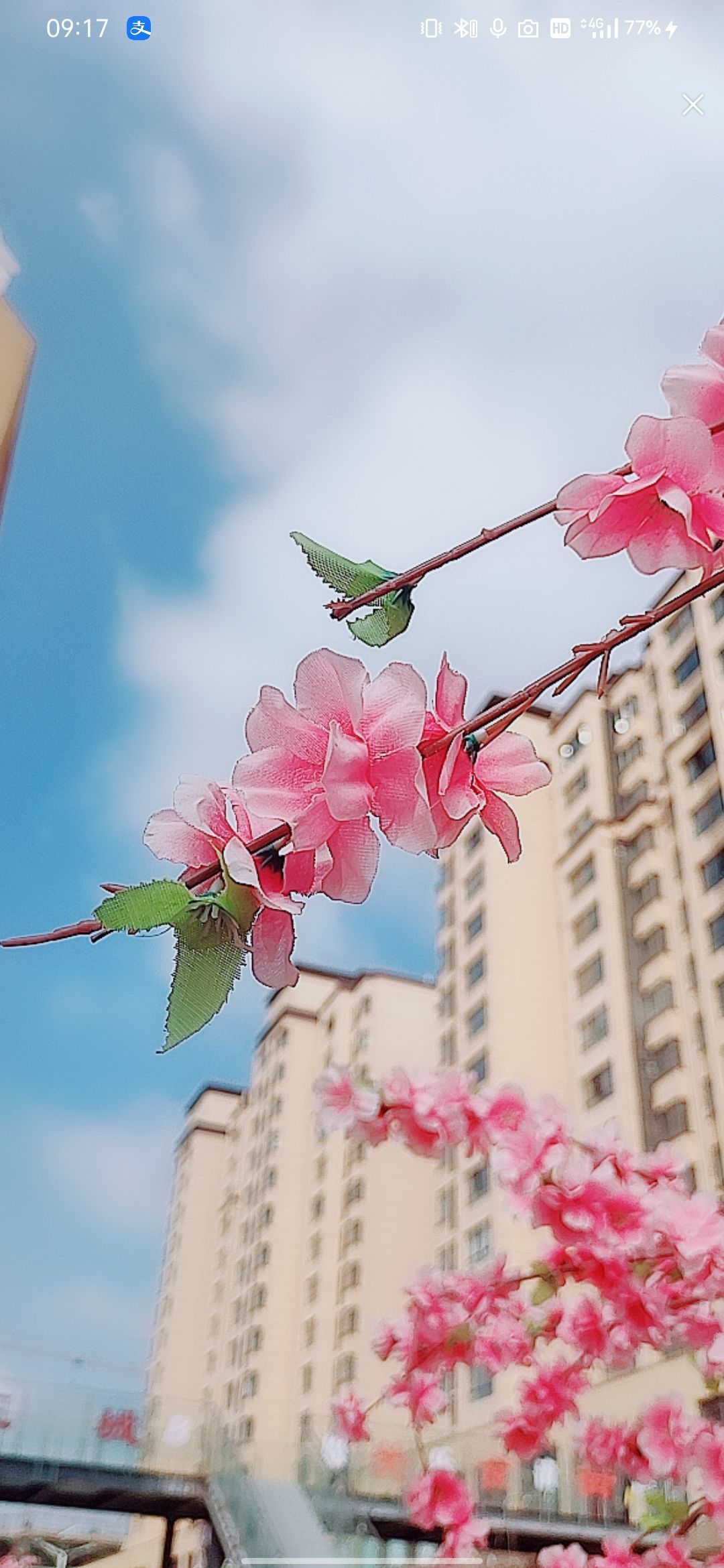 婷婷💕感恩有你陪伴的图片