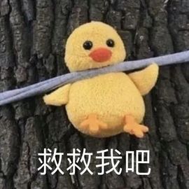 阳阳🌾晚上见主播照片