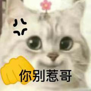 T哥😘😘