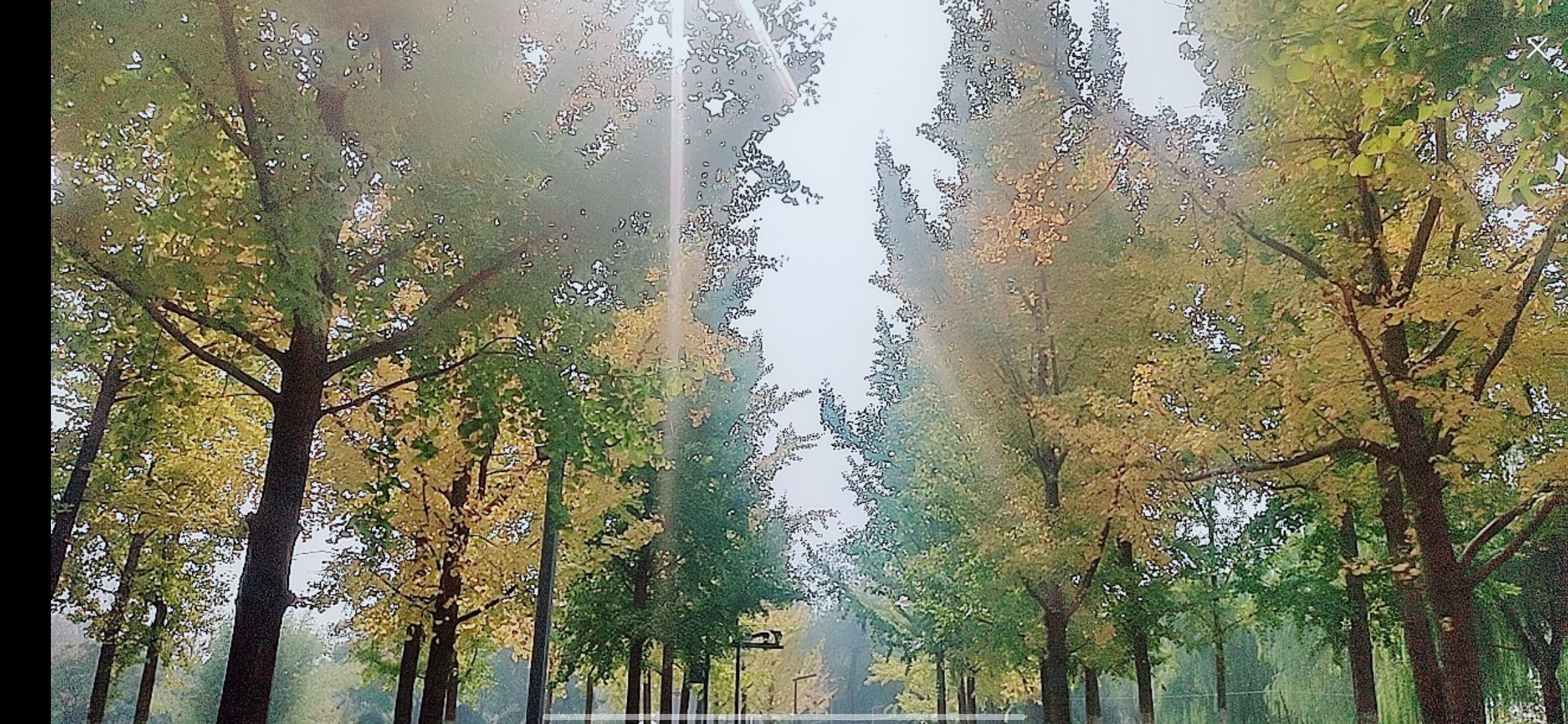 婷婷💕感恩有你陪伴的图片