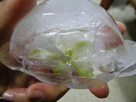 聆听~爱唱歌的图片