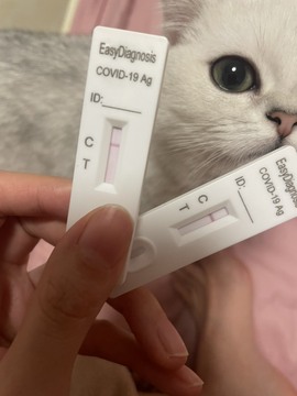 小小♥休主播照片