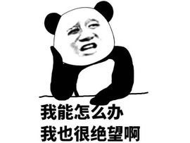 新人主播大乔小艺主播照片