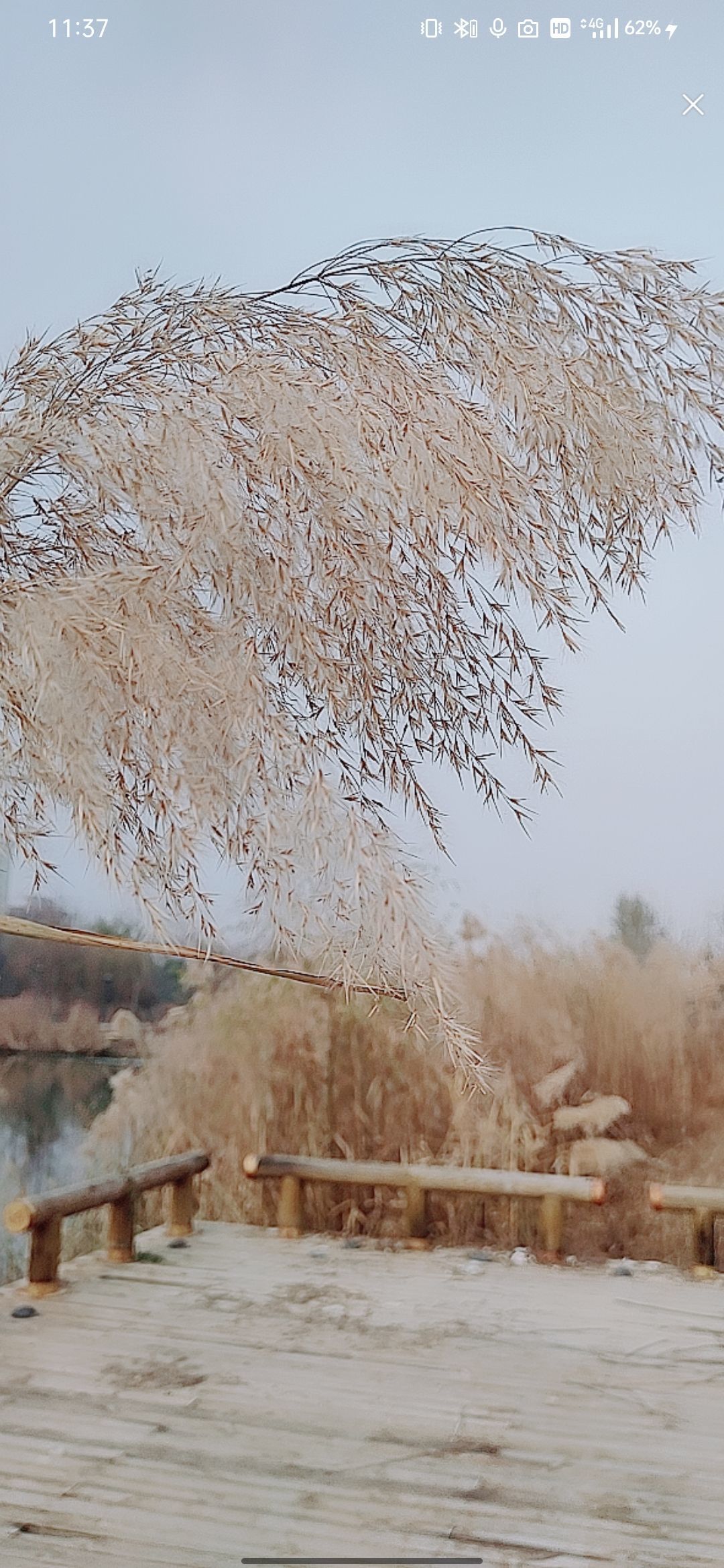 婷婷💕感恩有你陪伴的图片