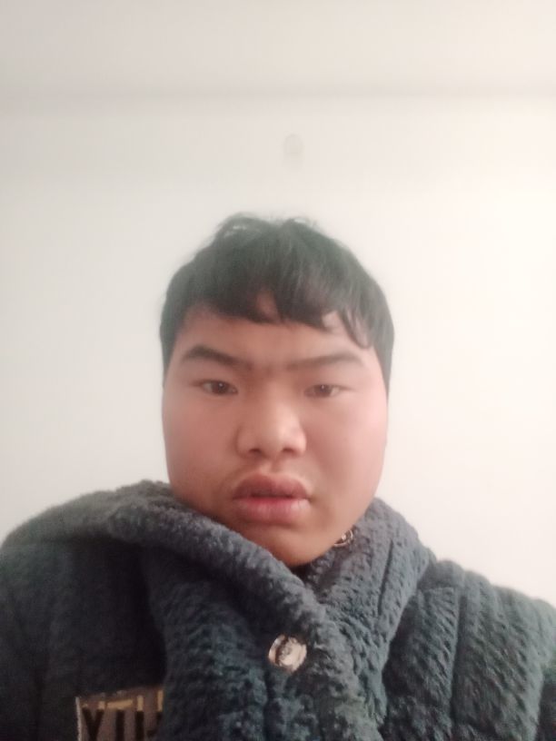 253698685的图片