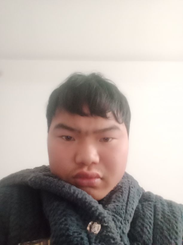 253698685的图片
