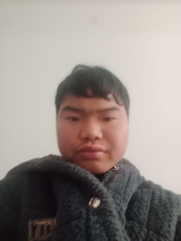 253698685的图片