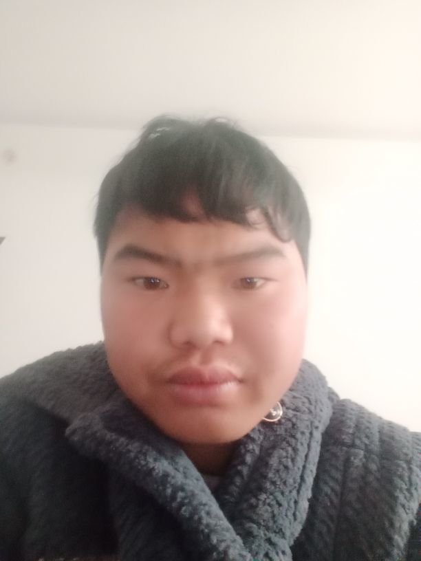 253698685的图片