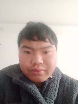 253698685的图片