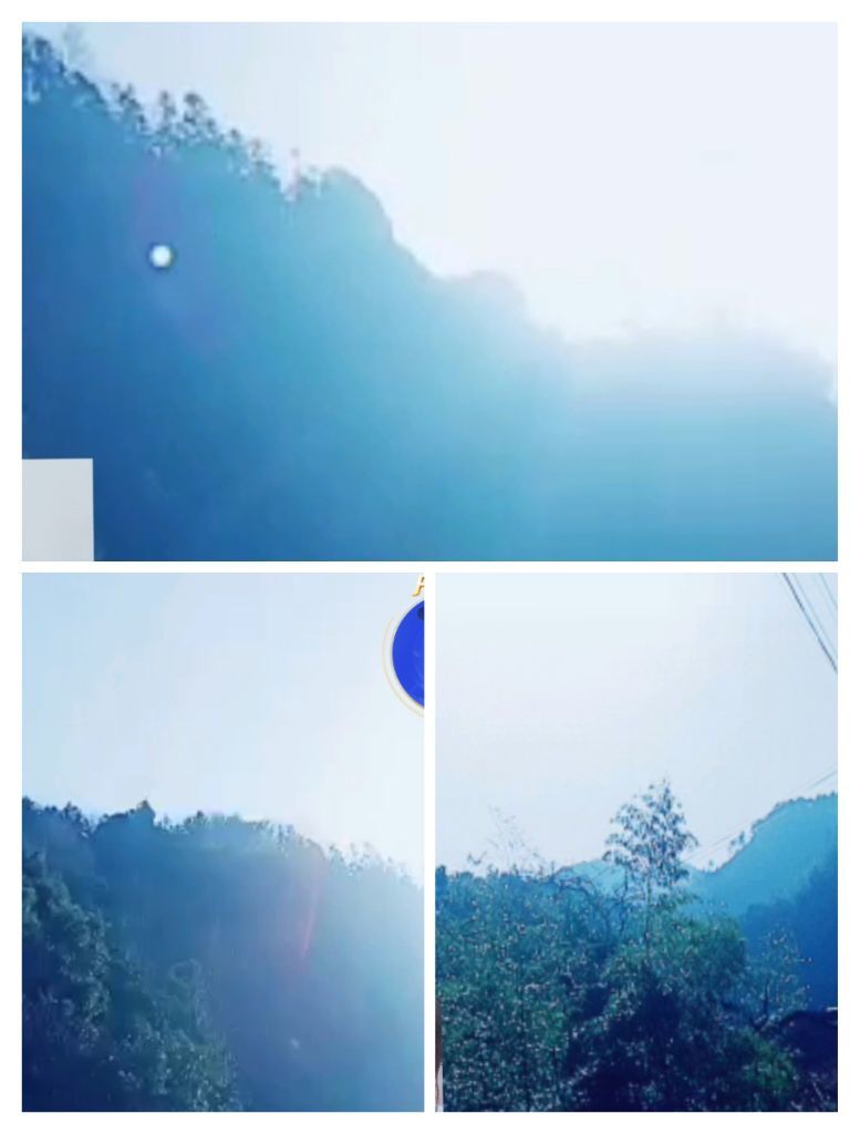 婷婷💕感恩有你陪伴的图片