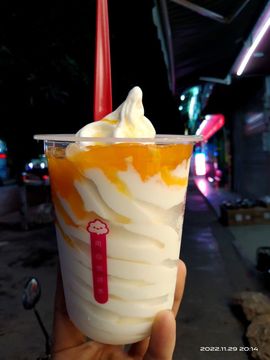花树茶主播照片