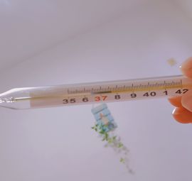 阳阳🌾晚上见主播照片