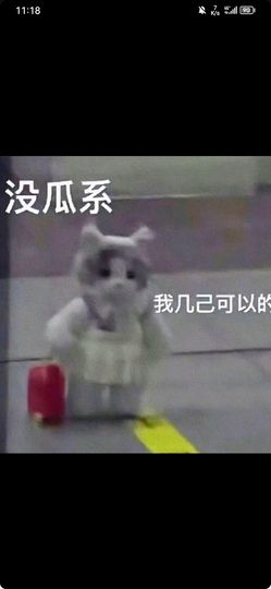 阳阳🌾明天见主播照片