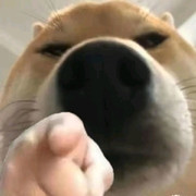 Oo小肥鱼oO头像