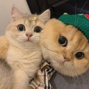 不想说话……