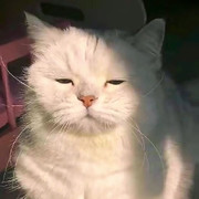 童小潼