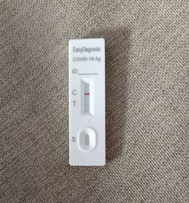 仙仙贺我鱼升帝圣主播照片